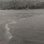 Vodonos Apartment Cerknica