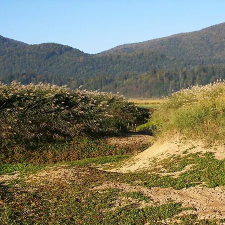 Apartment Vodonos Cerknica